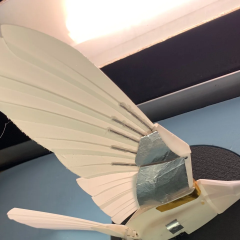 Birds suggest scientists how to improve drones