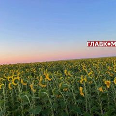 Сонячна погода без опадів