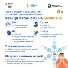 Цветение амброзии в сезон аллергии