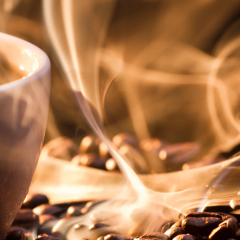 How Coffee Alters Gut Microbes to Boost Mood, Memory, and Reduce Stress