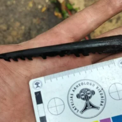 Археологи досліджують підводні знахідки
