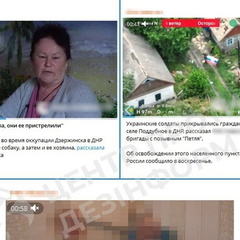 Убийство собаки и отравление колодцев - фейк российской пропаганды