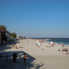 Трактори прибирають водорості на пляжі