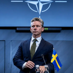 Поддержка Украины Швецией в НАТО