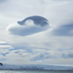 Кит пірнає в небесні хвилі