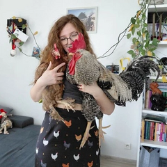 Львів'янка з куркою і півнем