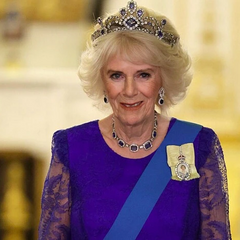 Camilla's dish for 65 UAH