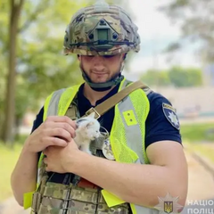 Полицейский спасает котенка после российского удара