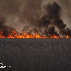 Пожарная машина тушит пожар