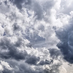 Преобладает облачность. Дождь в вечерние часы.