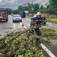 Буковину накрила негода: розмиті дороги, повалені дерева та затоплені підвали