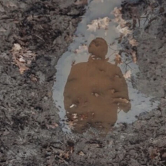 День пропавших без вести: масштаб трагедии