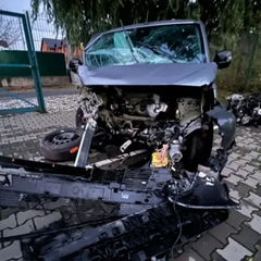 Продромий утконосує, Вінниця, нове авто