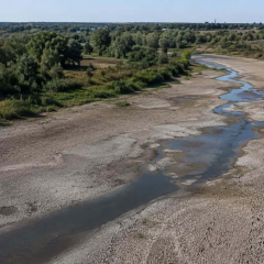 Consequences of economic activities on rivers