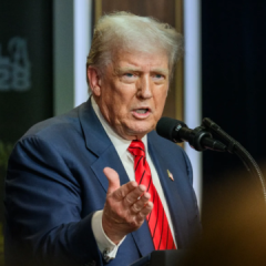 Trump confirmed talks on Patriot missile license for Ukraine