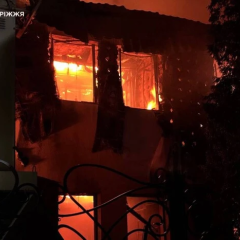 Пожар в Запорожском районе: последствия от ГСЧС