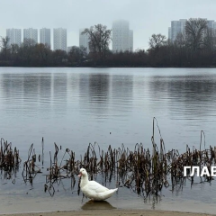 Облачно с прояснениями в Украине