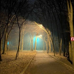 Вулиця в січні без снігу