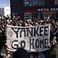 Гренландия против США: опрос