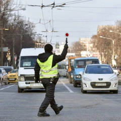 Патрульні перевіряють авто після зупинки