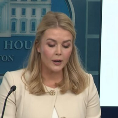 Предложение США по украинским электростанциям