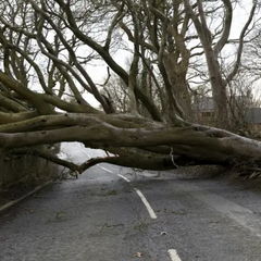 Ирландия и Шотландия подверглись воздушным ливням
