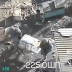 На військових учениях застосовувалися бджоли