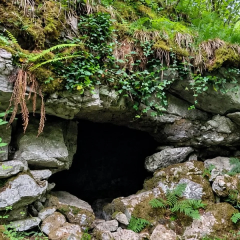 Ireland Uncovers Rock Art Over 15,000 Years Old, Redefining Ancient Human Presence