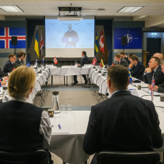 Поглиблене партнерство в JEF: Україна оборона