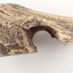 Rare bronze age axes made from deer antlers