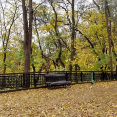 Погода 2 жовтня в Україні