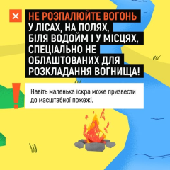 Пожежа на природі: загиблі та постраждалі