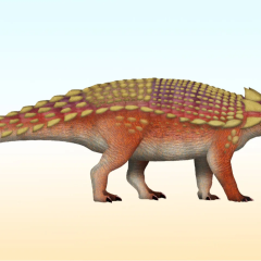 First Japanese Ankylosaur - Scientists' Discovery