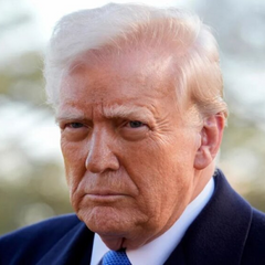 Трамп використовує важелі влади