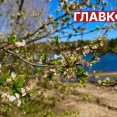 Солнечная погода на фоне летнего пейзажа