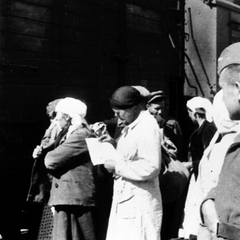 Втрати нації під час Другої світової