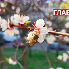 Прогноз дождя на 10 мая