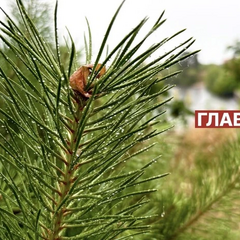 Диденко рассказывает о ожидаемом похолодании