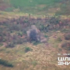 Нацгвардейцы поразили российскую пушку