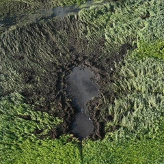 ДБР розслідує падіння літака на Волині