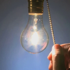 Обезьяна в трансформаторе вызвала отключение света