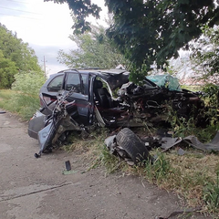 Аварія на Одещині: BMW влетів у дерево