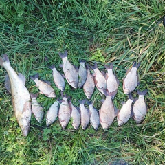 Рибалка-браконьєр на Вінниччині