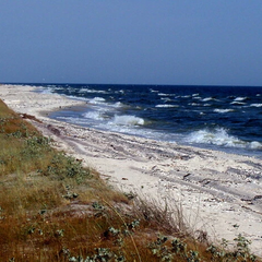 РФ зруйнувала Кінбурнську косу та «Асканію-Нову»