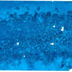 Sunken ship with amphorae