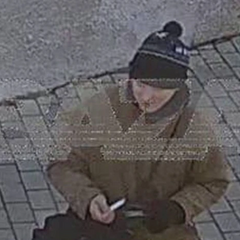 Турист бросает местную кошку из Ласточкиного гнезда