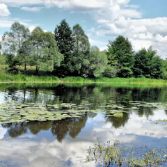 Катастрофа природи України: наслідки академіками пояснюють