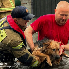 Підтоплені будинки та автомобілі через негоду