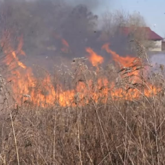 Пожежа на Волині: вогонь рушил до обійсть