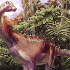 Dinosaur from Antarctica with unique formation